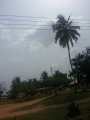 thumbnails/069-AFRIKA-1-2013 451.jpg.small.jpeg