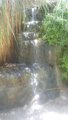 thumbnails/003-20190808_133311.jpg.small.jpeg